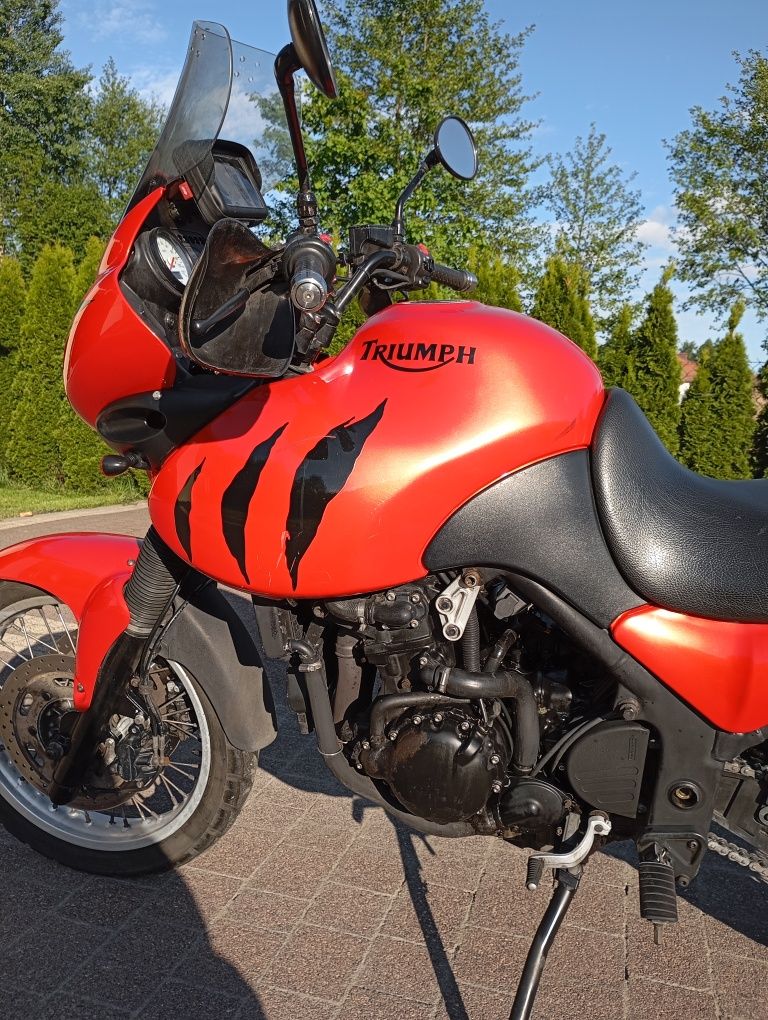 Triumph Tiger 955i