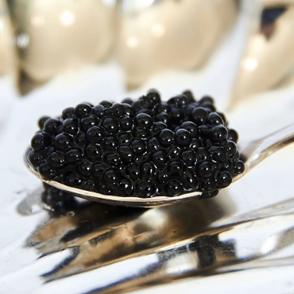 Ікра зерниста, спецпосол, caviar, камчадал, водний мір, осетрова, щука