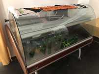 Vitrines frigorificas