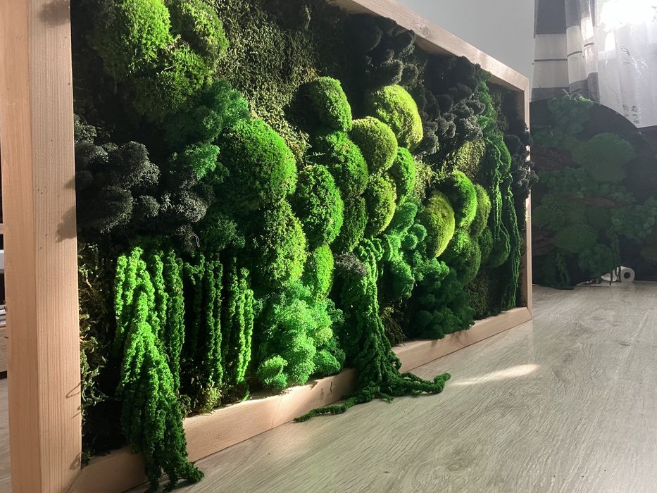 Obraz rośliny do biura firmy salonu lazienki mech stabilizowany