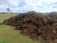 Obornik bydlęcy 500ton