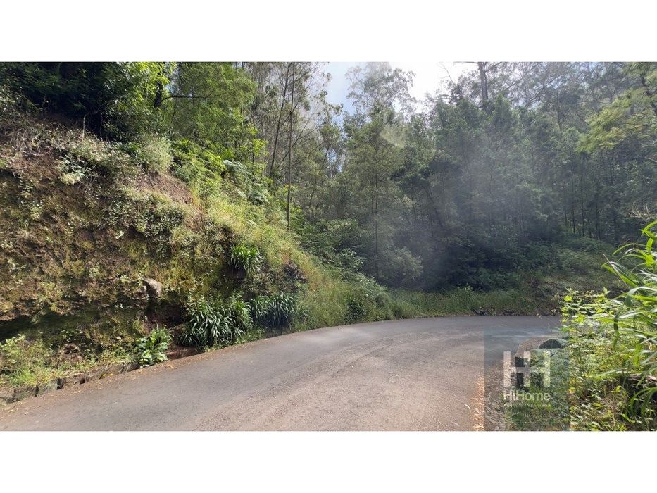 Terreno rústico no Caminho dos Pretos | Funchal