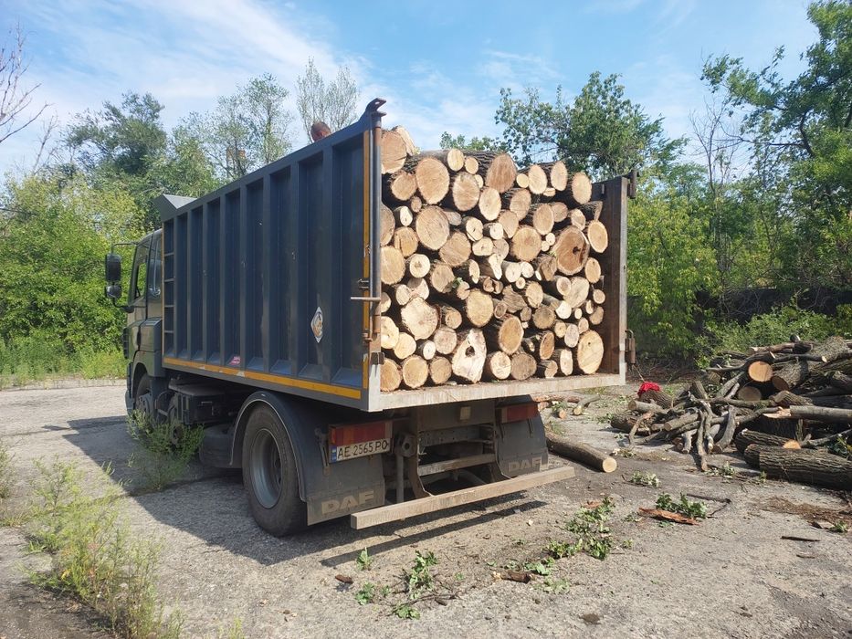 Продам дрова твёрдых пород акация ясень дуб для отопления