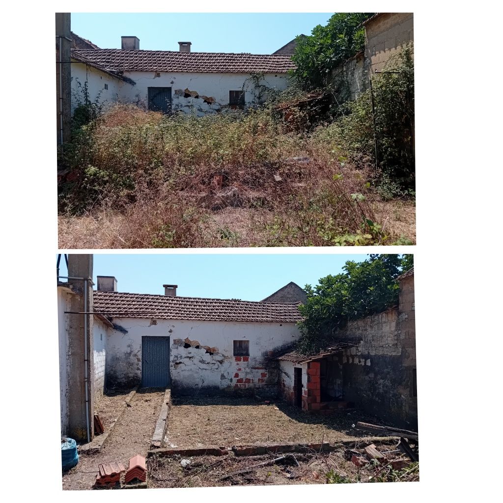 Limpeza de terrenos e quintais
