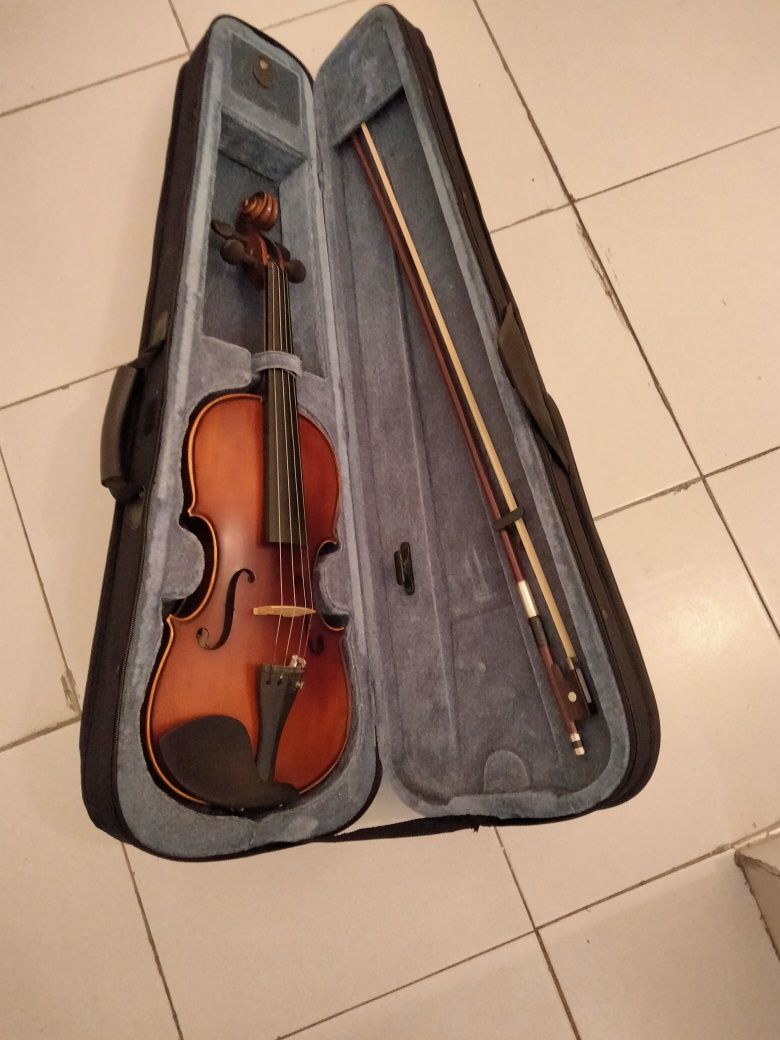 Violino Profissional e Alaúde/Oud