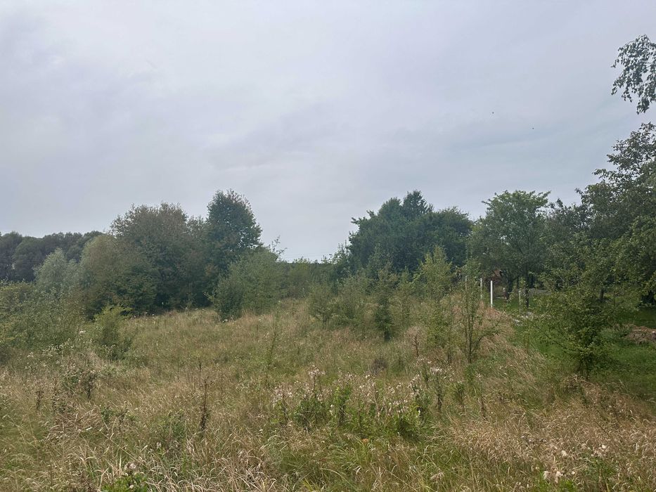 Продаж земельної ділянки під житлову забудову Майдан-Чапельський