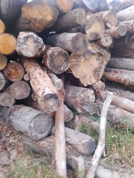 Drewno sosnowe, Drewno opalowe sosna w wałkach
