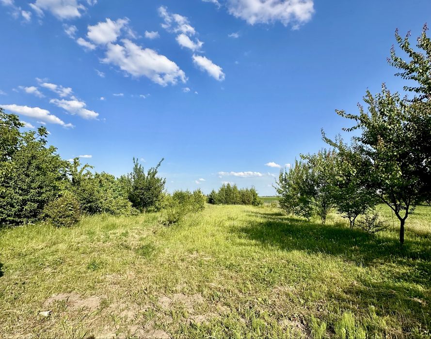 Будинок у Великій Омеляні