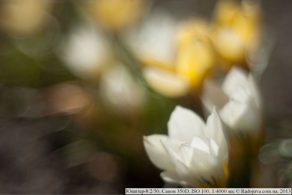 Об'єктив Юпітер 8 2/50