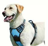 Arnēs para Cão Grande