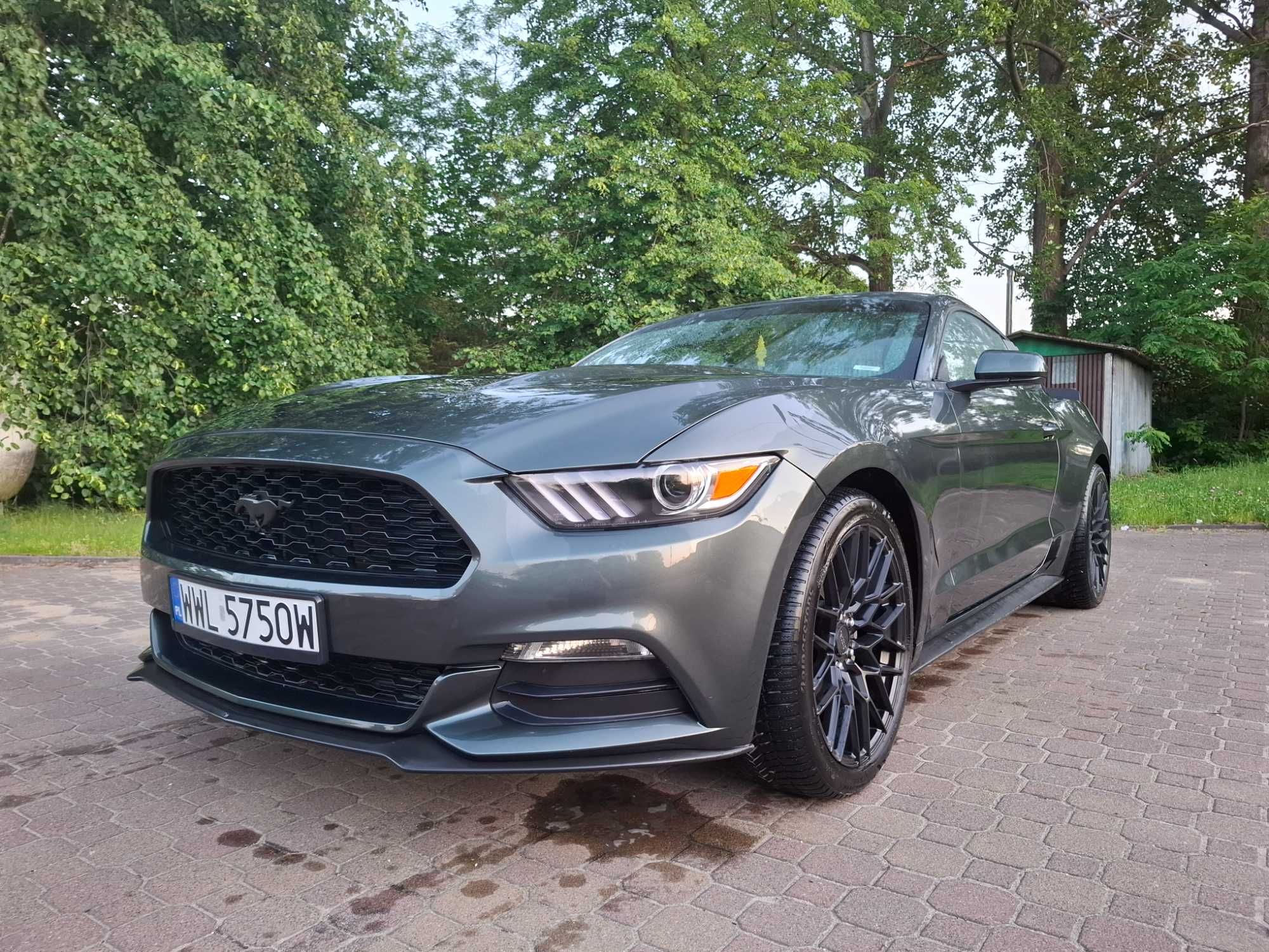 Wynajem!Mustang do ślubu,filmu,teledysk!