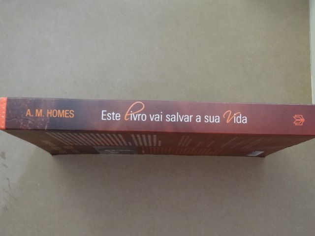 Este Livro Vai Salvar a Sua Vida de A. M. Homes