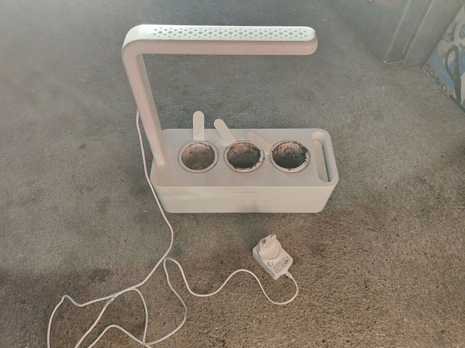 Click & grow germinação de sementes