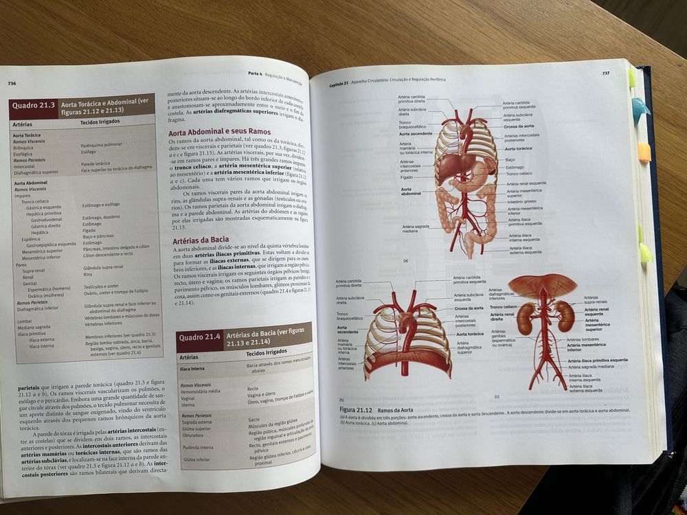 Anatomia e Fisiologia de Seeley