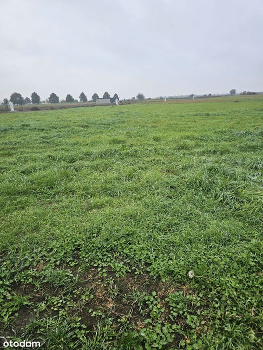 Pawłowice Sprzedam Działkę