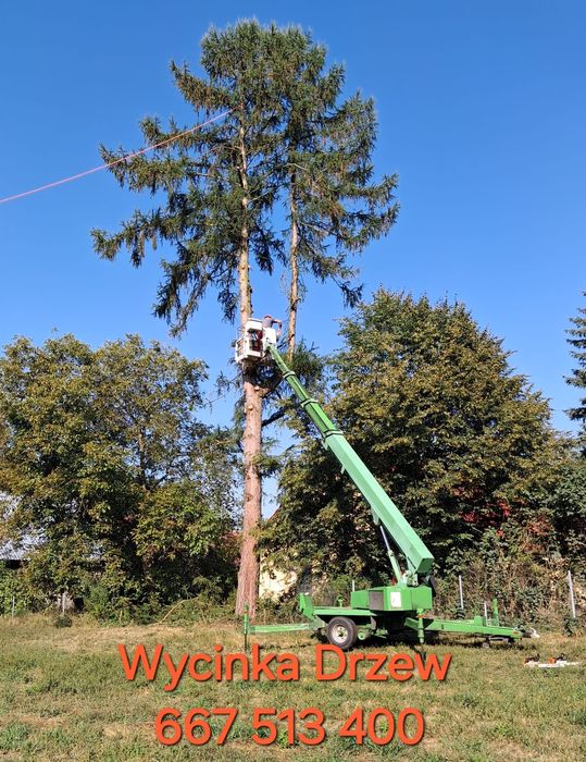 Wycinka i Pielęgnacja Drzew. Podnośnik Koszowy. Transport Drewna