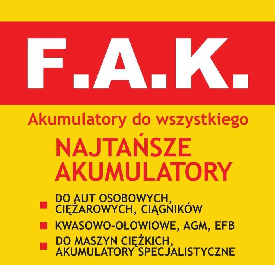 AKUMULATOR 4000 cykli LIFEPO4 100AH 12,8V kamper łódka