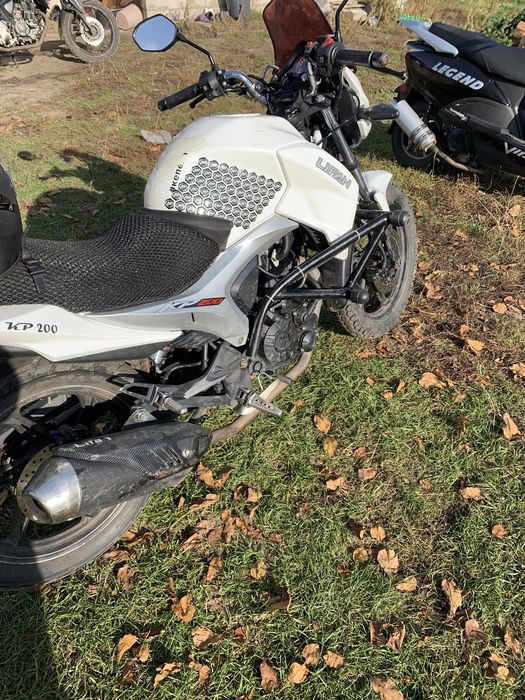 Дуги клітка на Лось300,250. Кр200