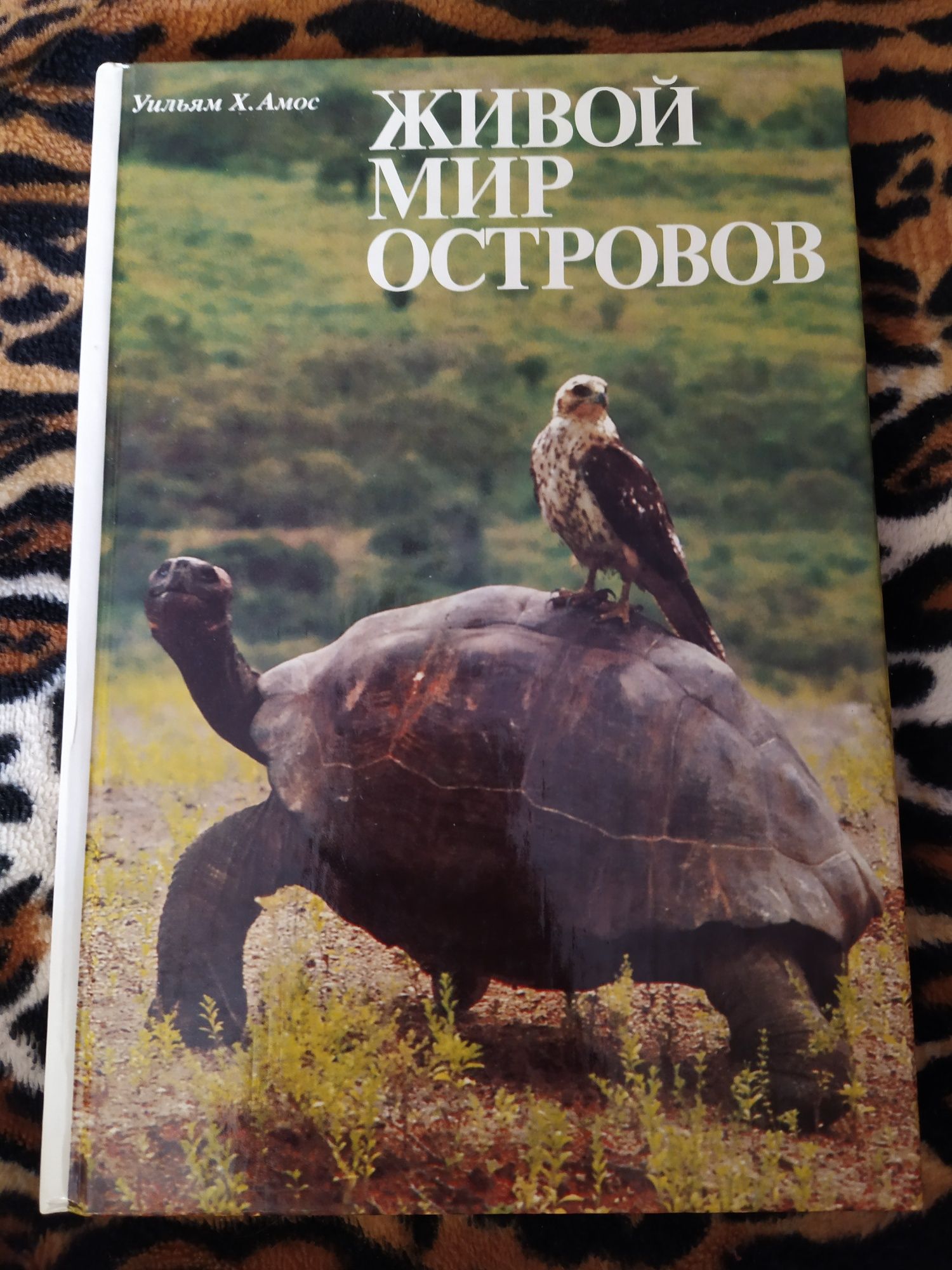 Живой мир островов. Красивая книга с роскошными фотографиями животных