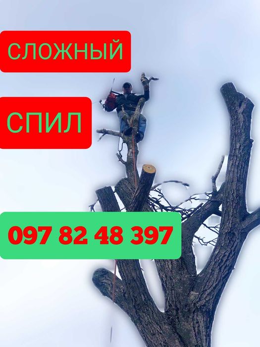 СПИЛ дерев АРБОРИСТИКА автовишка