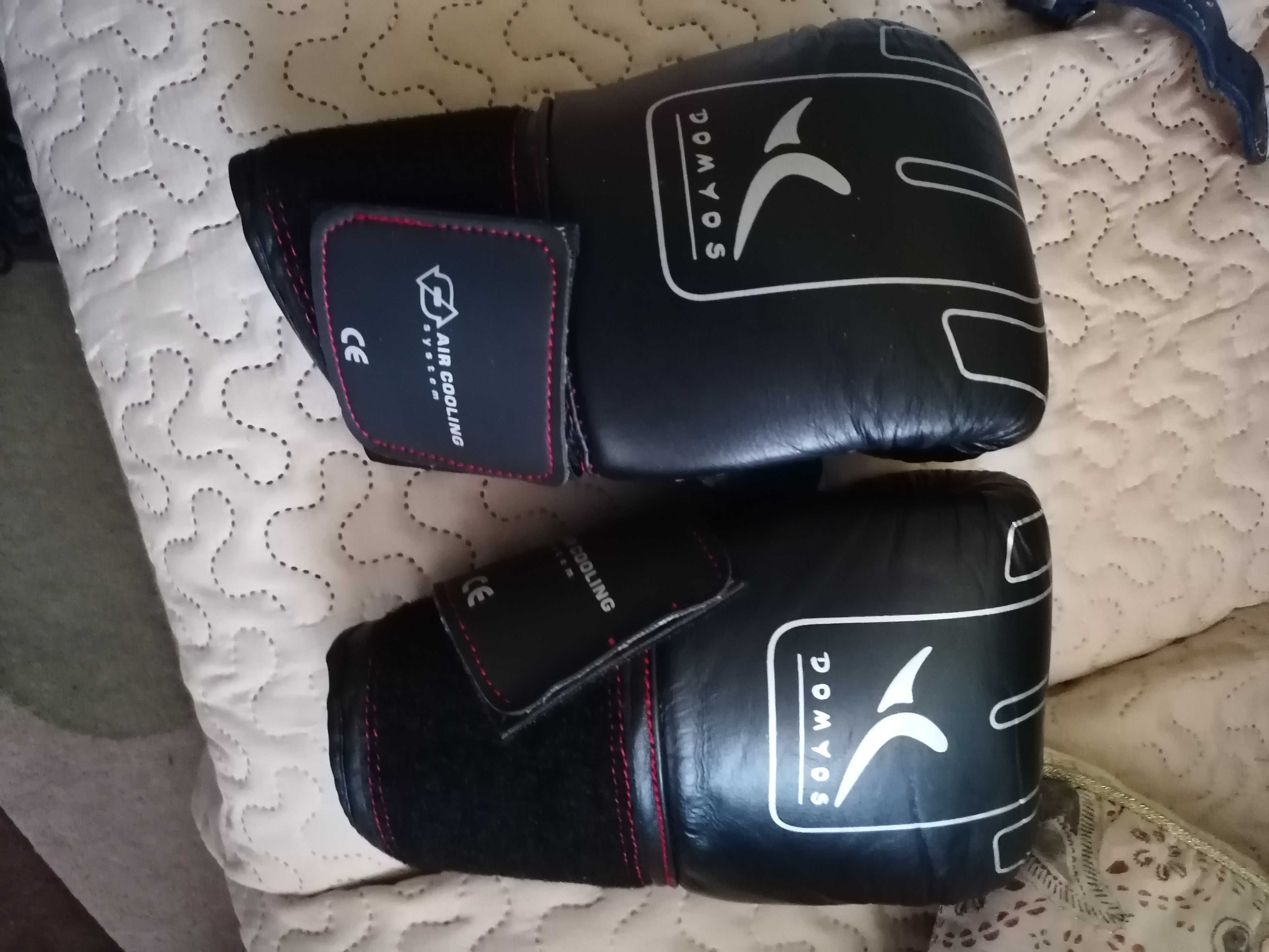 Luvas de boxe  semi novas