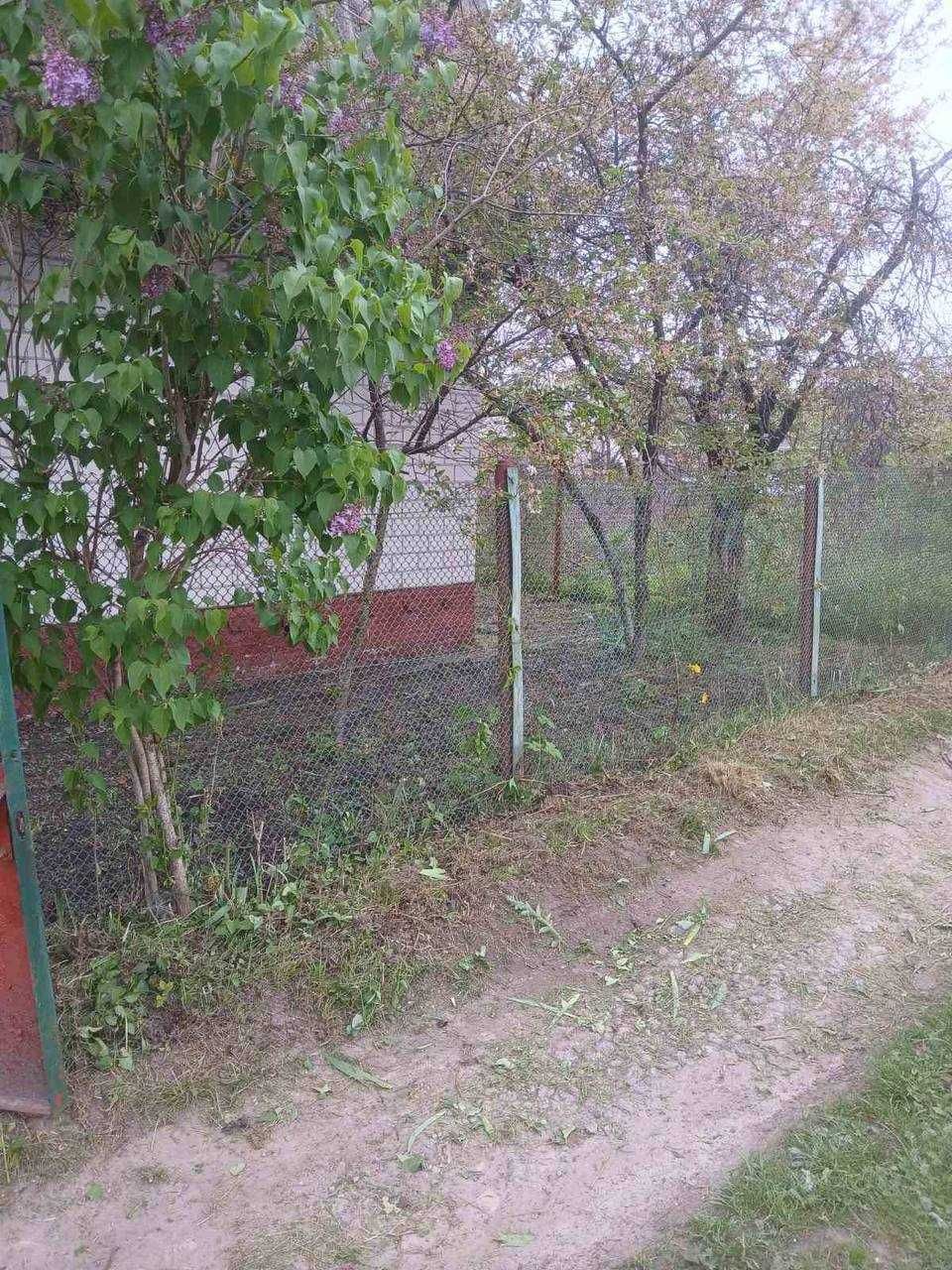 Дача в Березанці, СТ Сновянка