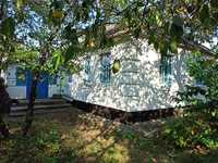 Продам будинок в селі Яблунівка