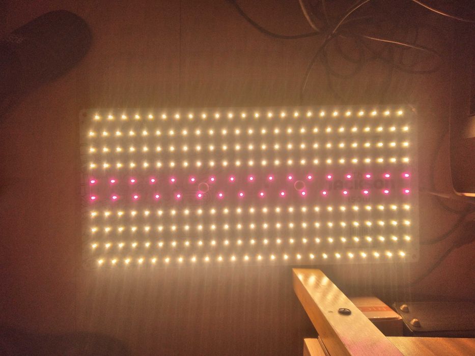 lampa jackson jungle do uprawy