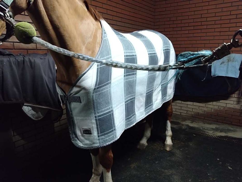 Derka polarowa Eskadron