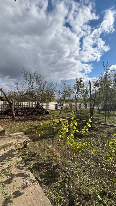 Будинок з садом + город