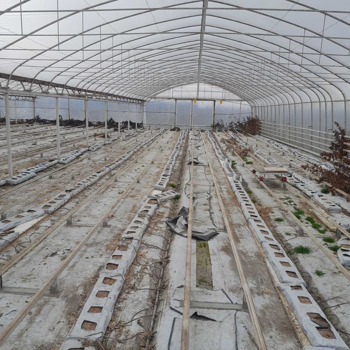 Tunel foliowy zblokowany