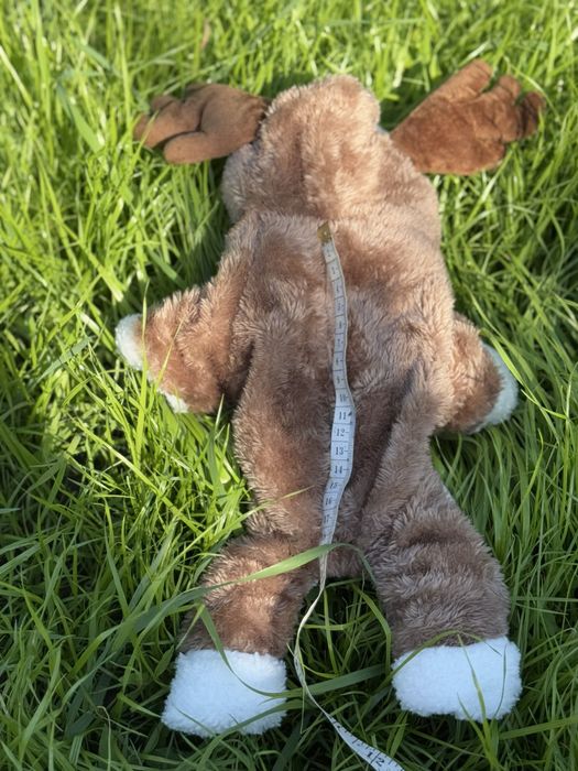 Різний одяг для чіхуа