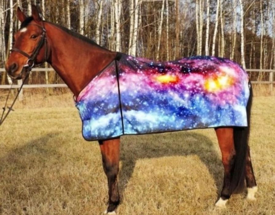 sprzedam rozpoznawalną markę jeździecką