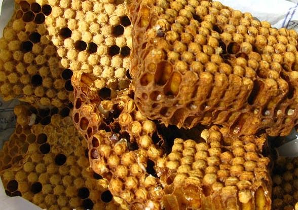 Трутневий гомогенат рідкий ( трутні, личинки) 250 мл