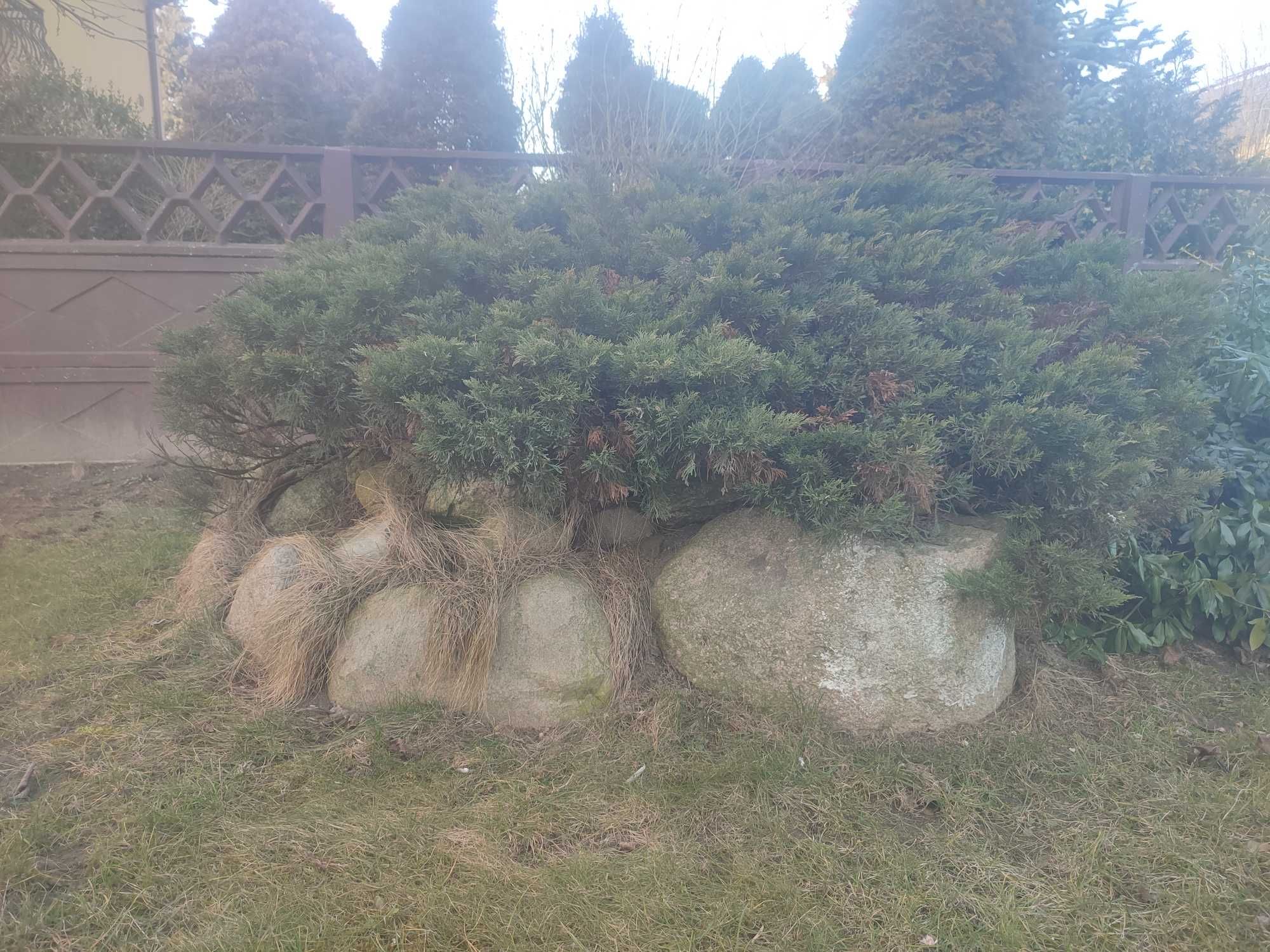 Kamienie ogrodowe głazy skalniak