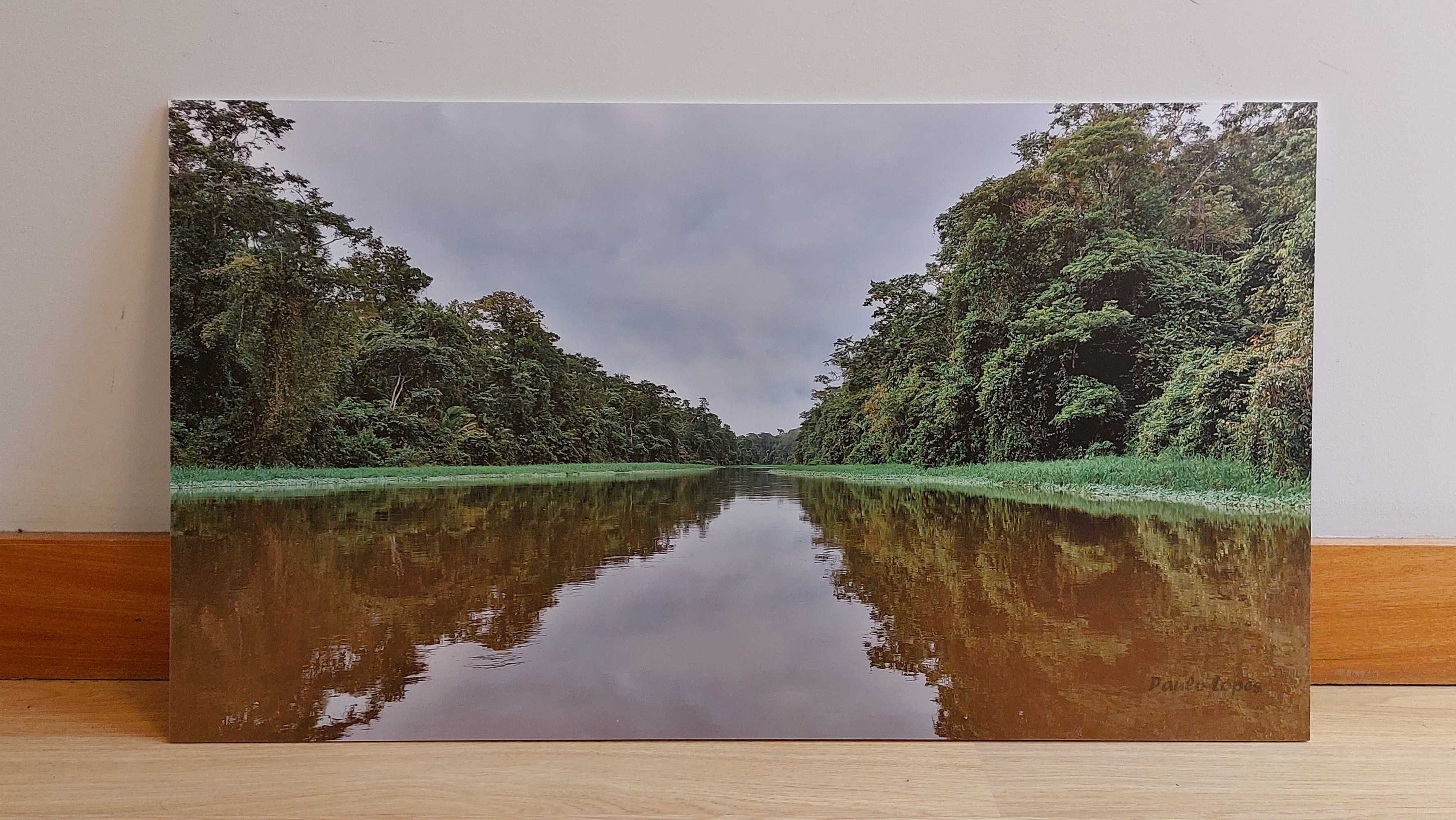 Fotografia do autor, em PVC 5mm, Floresta tropical América Central.