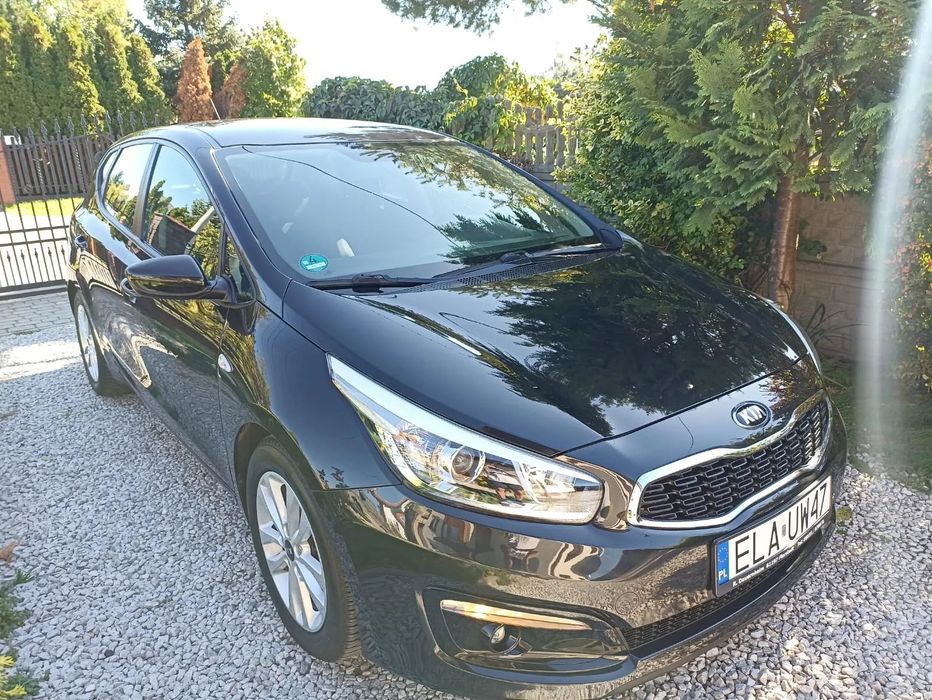Kia Ceed 1.4 100KM! Serwisowany do końca! Podgrzewana kierownica i fotele!