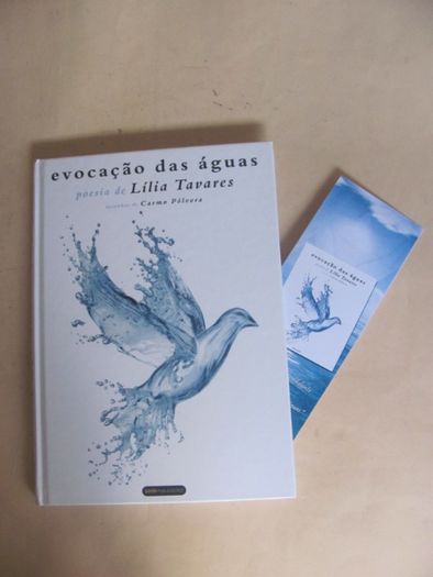 Evocação das águas de Lília Tavares