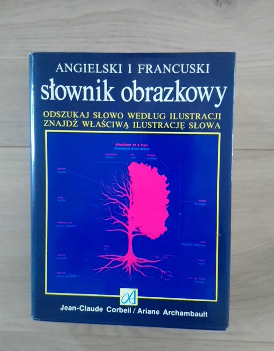 Słownik obrazkowy. Angielski i francuski