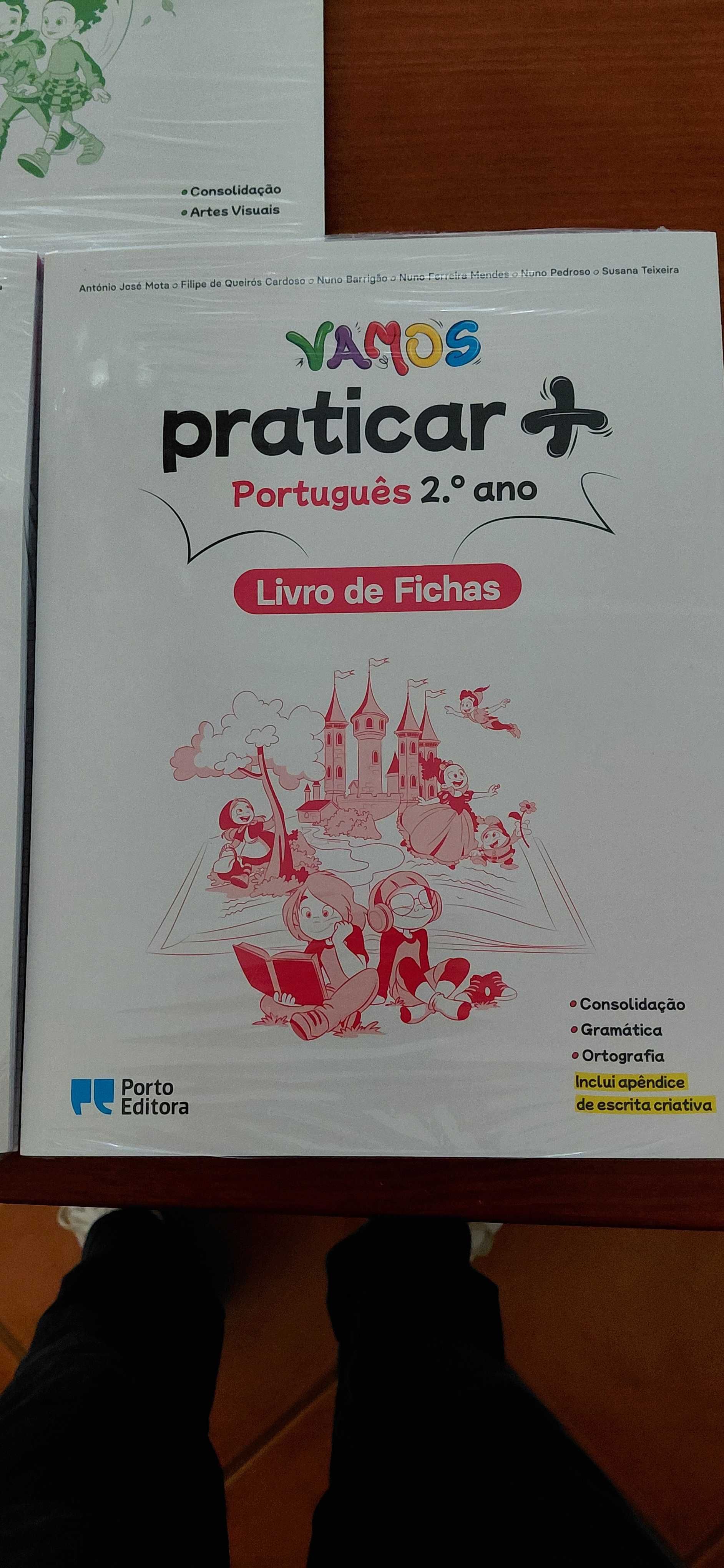 Livros de Fichas 2 ano