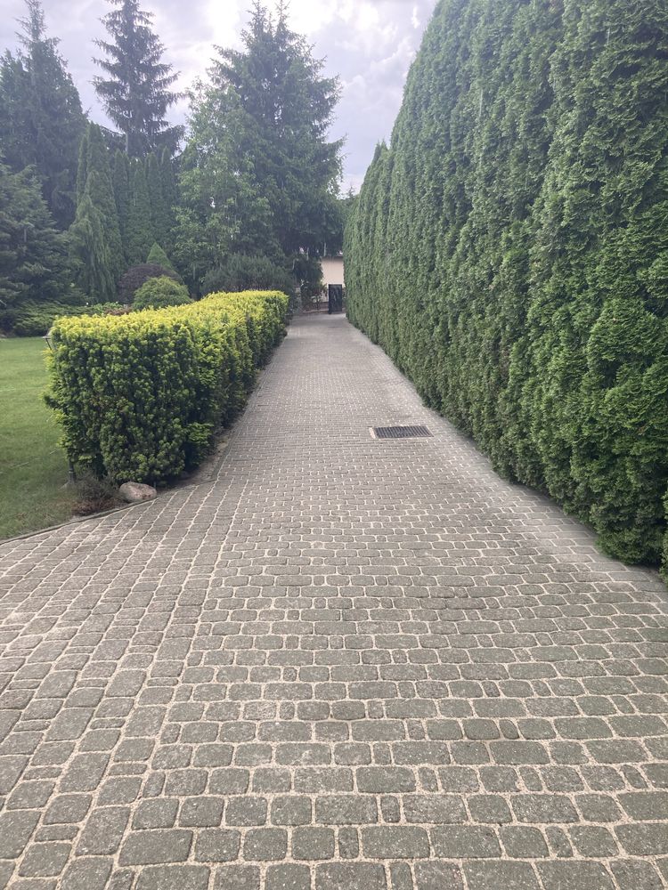 Mycie kostki, elewacji, dachów itp.
