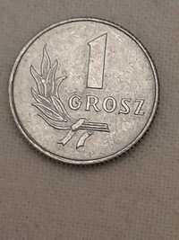 Sprzedam monetę 1 grosz z 1949 roku stan menniczy