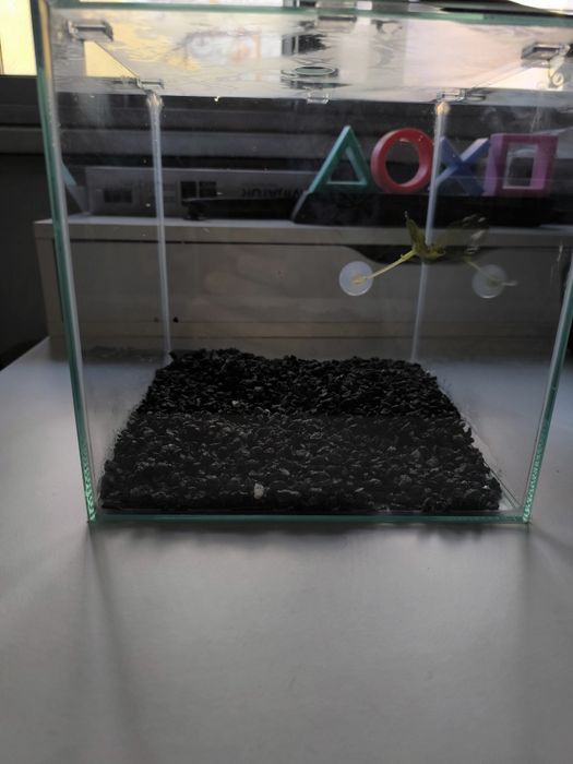 AQUATLANTIS  Kubus  Betta  15L