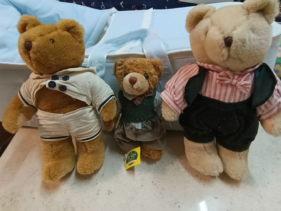 família de ursinhos de peluche