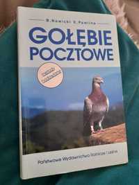 Gołebie pocztowe