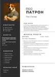 Професійне створення CV/Резюме Украінською та Ангійською мовою