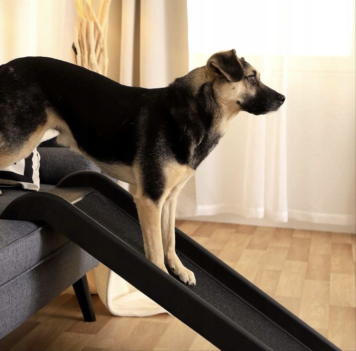 Rampa samochodowa dla psów do 90 kg Lionto