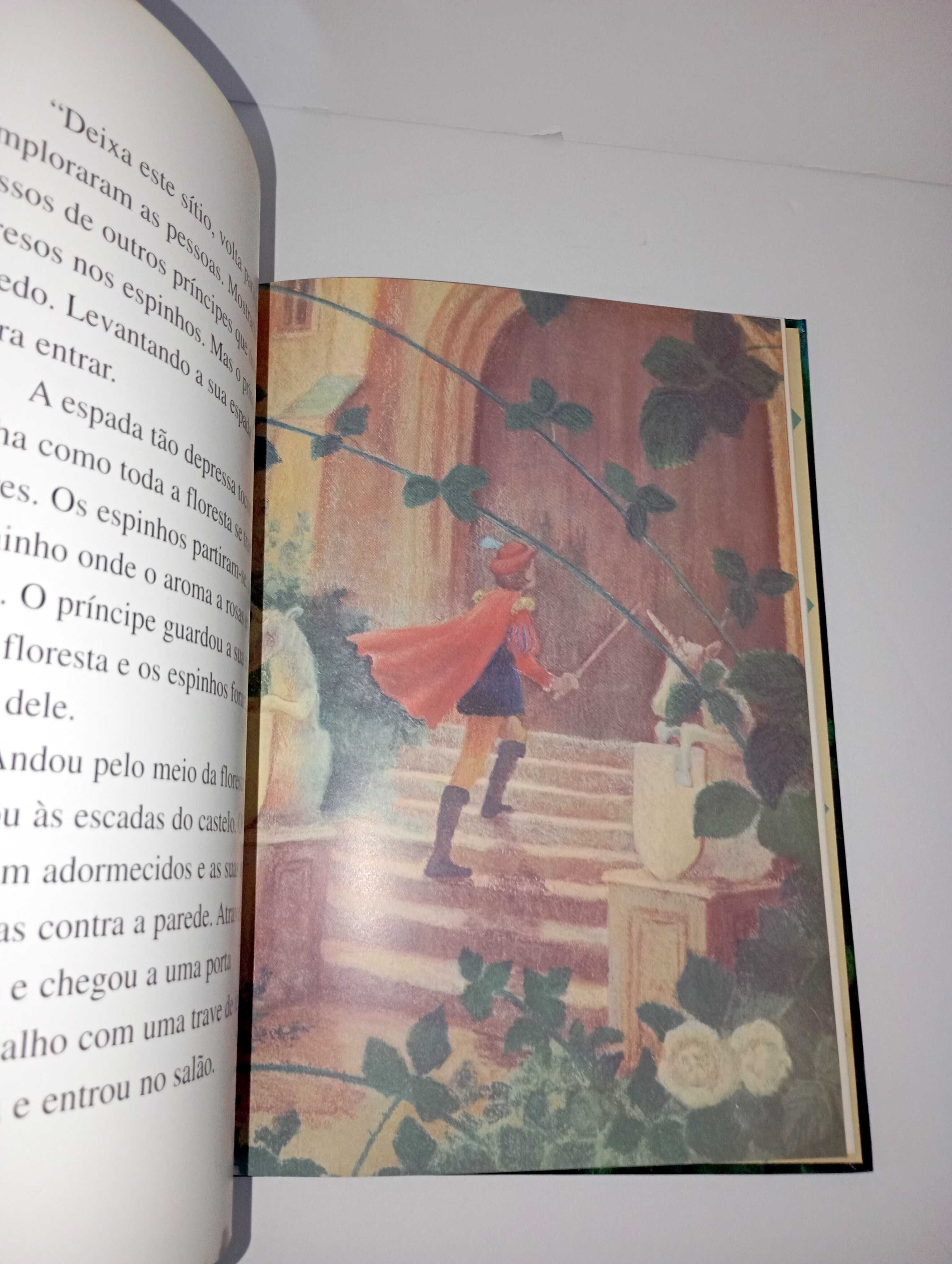 A bela Adormecida - Clássicos dos Contos de Fadas