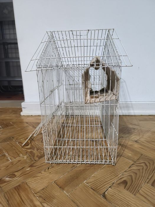 Vendo gaiola para pássaro doméstico + acessórios + papa para filhotes