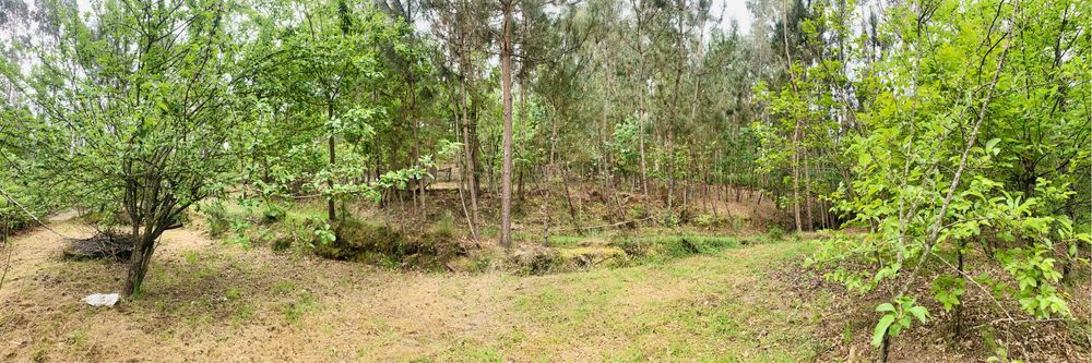 Terreno rústico com 2500m2 (Freixeda > Vilar Besteiros > 3460 Tondela)